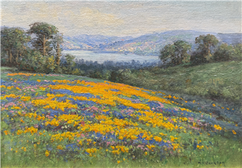 Sacramento Poppies & Lupine