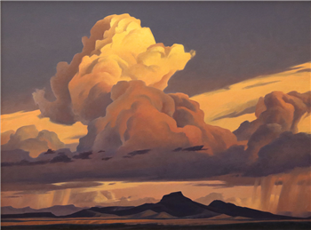 Sonoran Desert Storm
