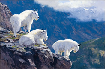 Goat Ledge