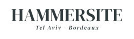 Hammersite  logo