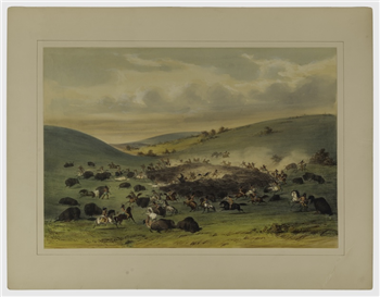 Buffalo Hunt, Surround
