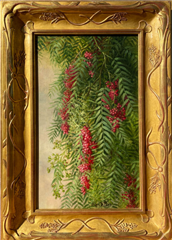 Pepper Tree