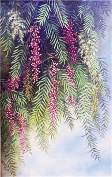 California Pepper Tree - Image 1 of 3
