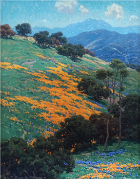 California Poppy Fields