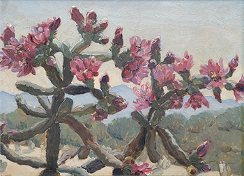 Flowering Cactus