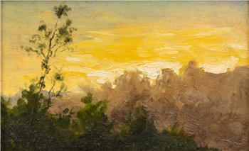 Forest of the Setting Sun