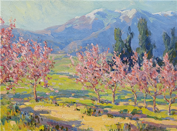 Blossom Time California