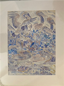 Pelicans and Sea Turtles