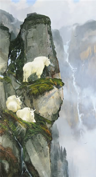 In the Cliffs