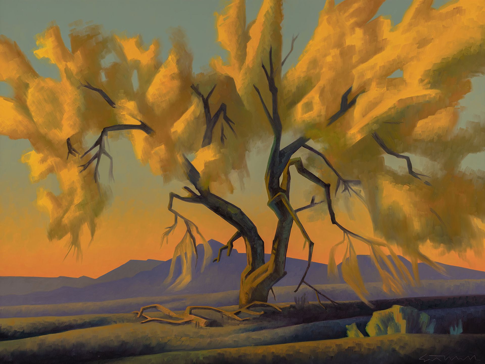 Palo Verde Tree