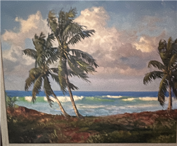 Treasure coast palms