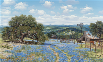 Texas Bluebonnet Vista - Image 1 of 2