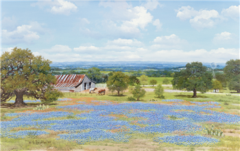 Bluebonnet Landscape with Barn and Longhorns - Image 1 of 2