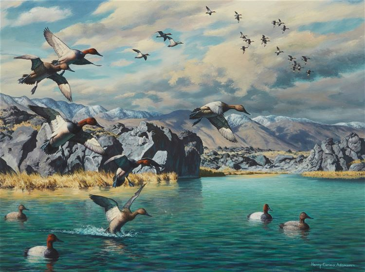 "Canvasbacks At Little Lake" - Image 2 of 2