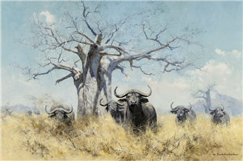 Buffalo Alerted - Image 1 of 2