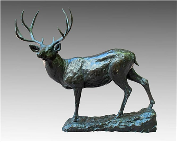 Mule Deer