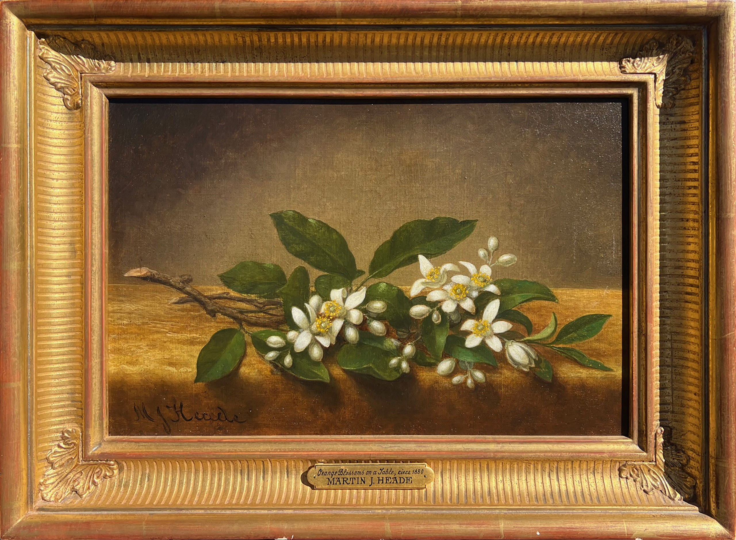Martin Johnson Heade, Orange Blossoms