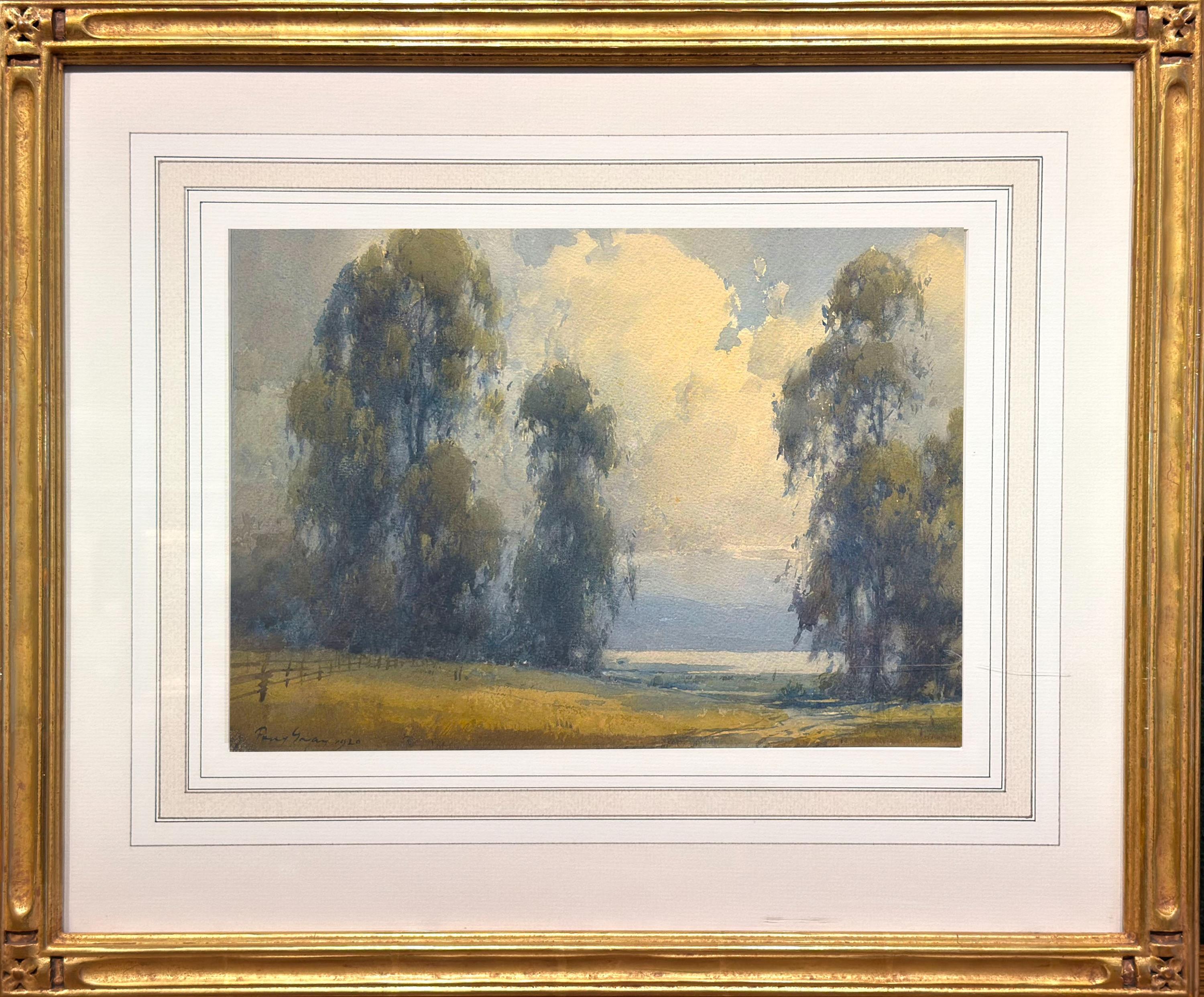 Eucalyptus Trees by Water - Image 2 of 2