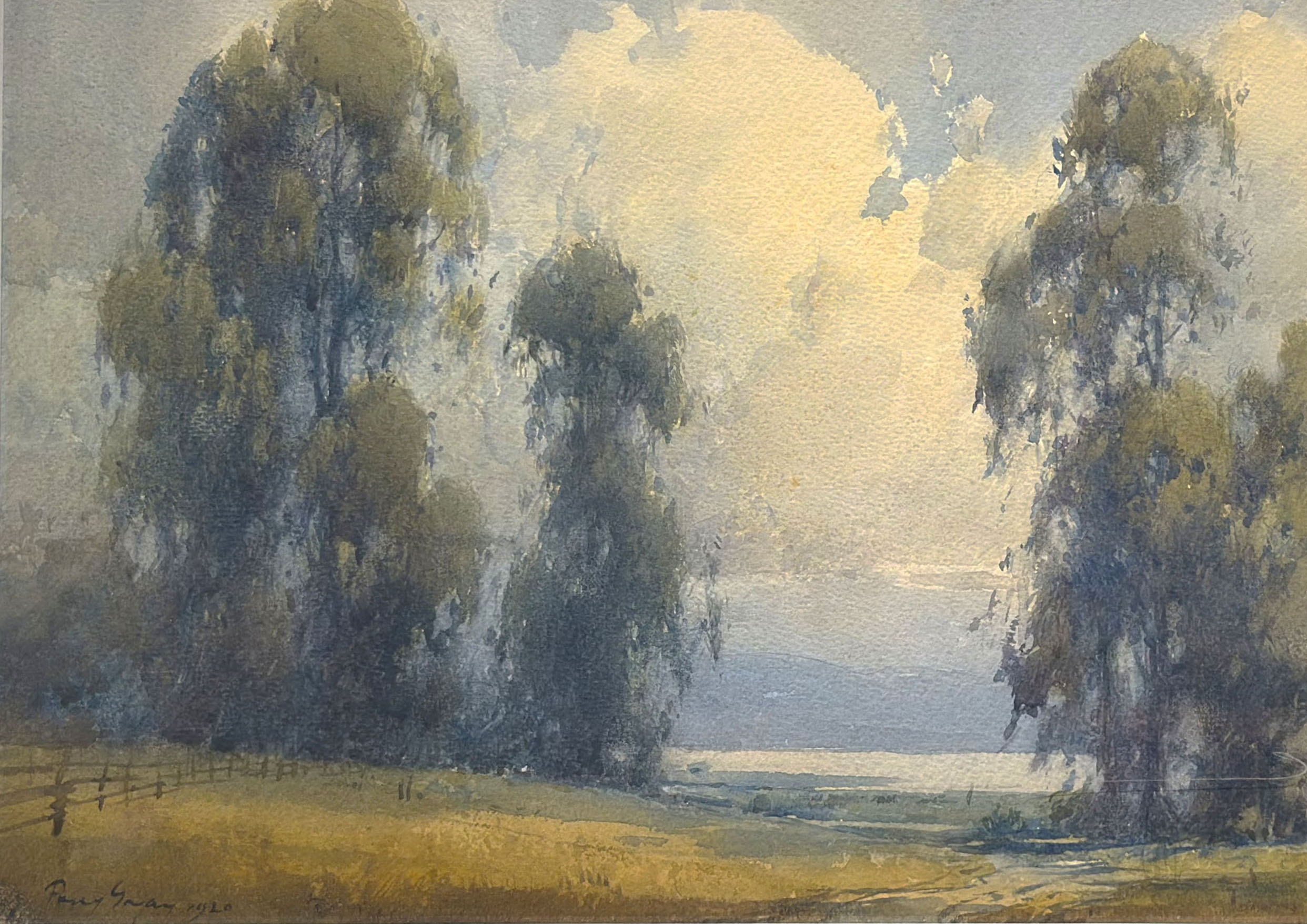 Eucalyptus Trees by Water - Image 1 of 2