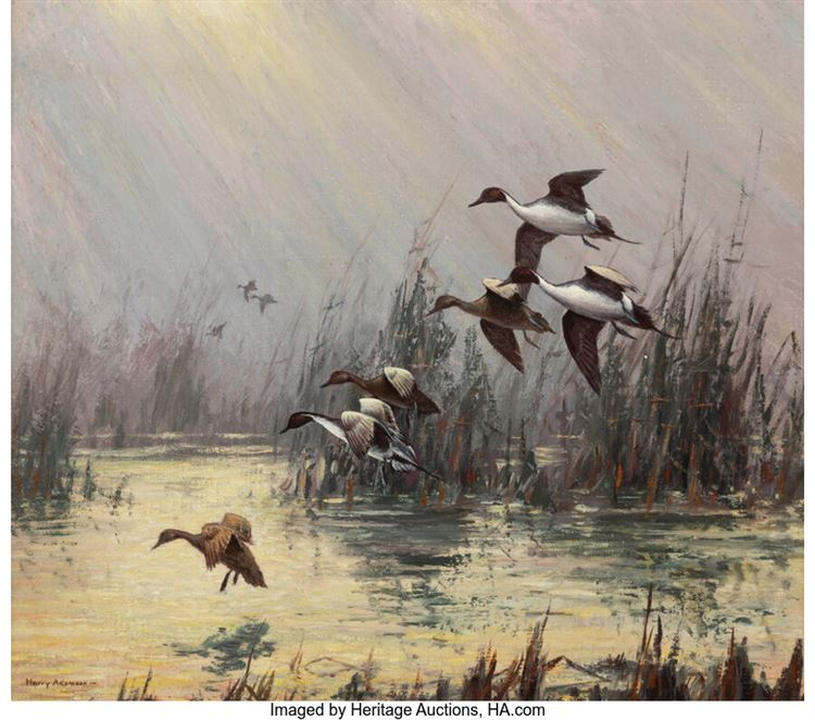 Pintails On The March