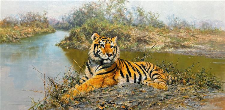 Tiger in the Sun