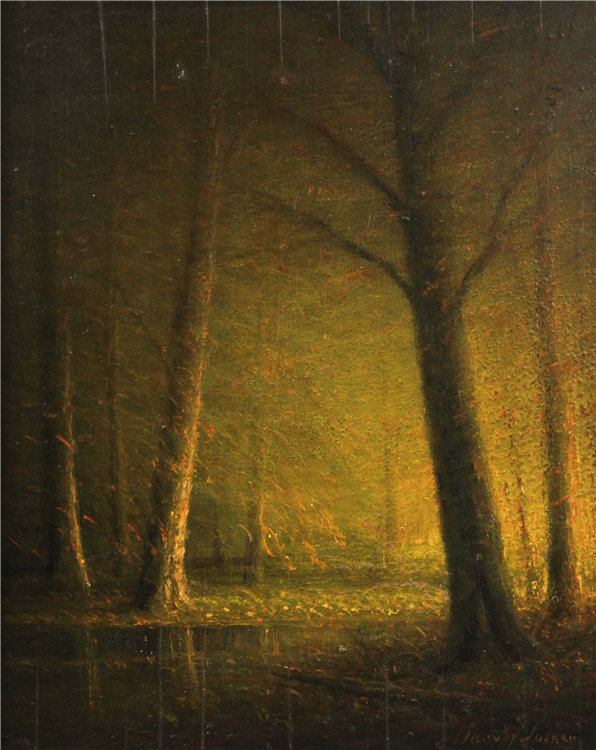 Heavily Wooded Forest and Foreground Stream at Sunrise / Sunset - Image 3 of 4