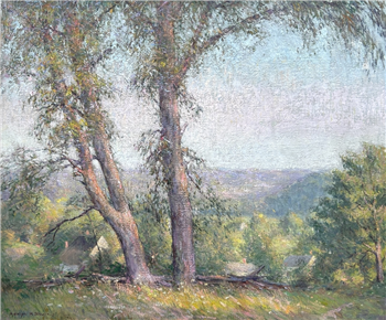 Overlooking the Village