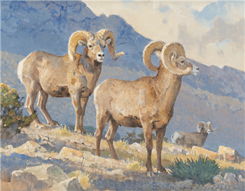 On Desert Slopes - Image 1 of 2