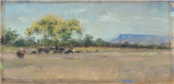 Shade Locust Trees - Image 1 of 2
