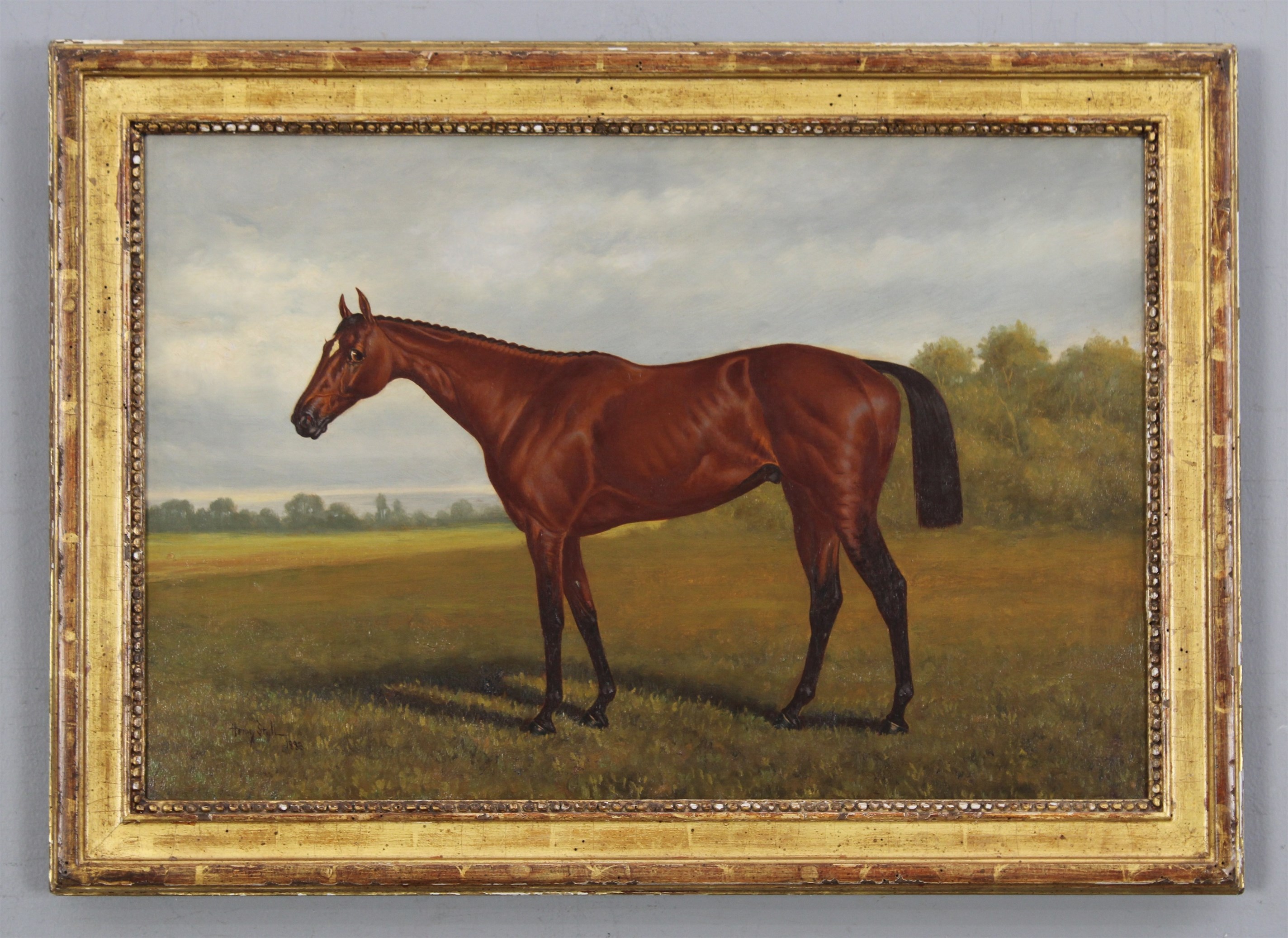 Portrait of a Racehorse - Image 1 of 4