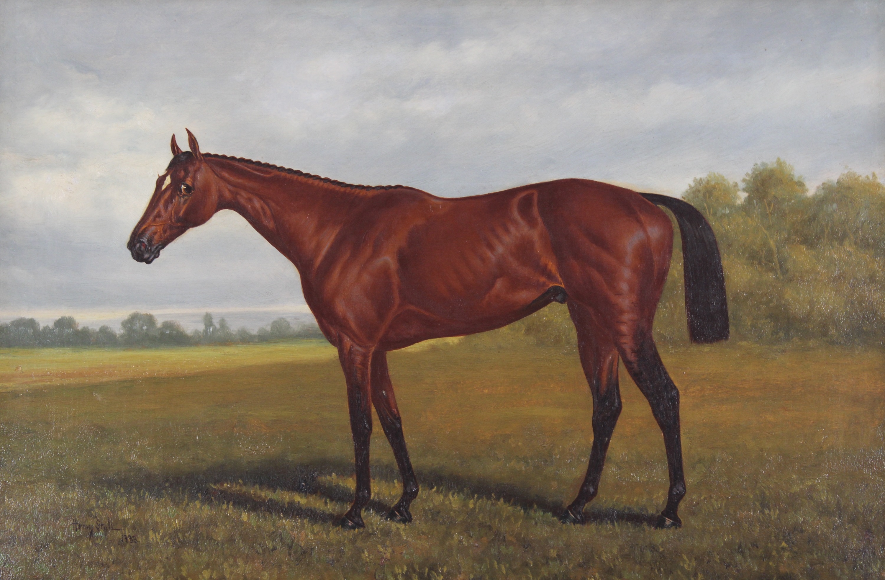 Portrait of a Racehorse - Image 2 of 4