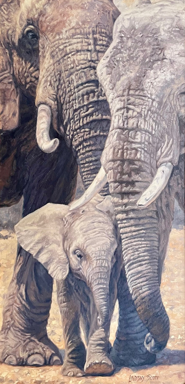Elephant Baby - Image 1 of 2