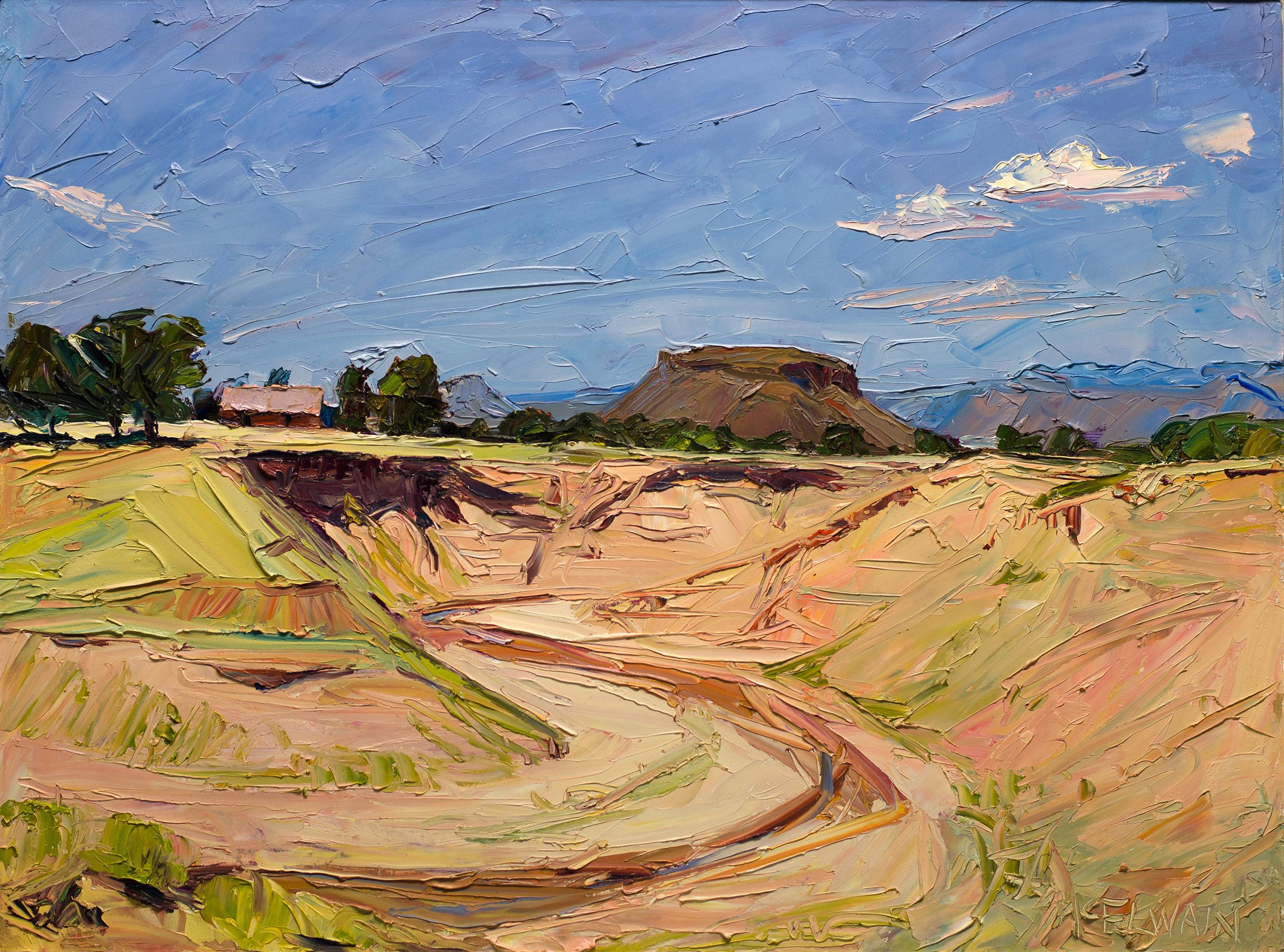 Deep Arroyo North of Black Mesa