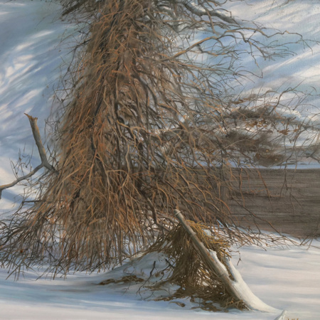Shadowy Winterscape - Image 4 of 4