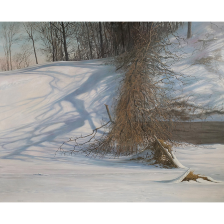 Shadowy Winterscape - Image 1 of 4