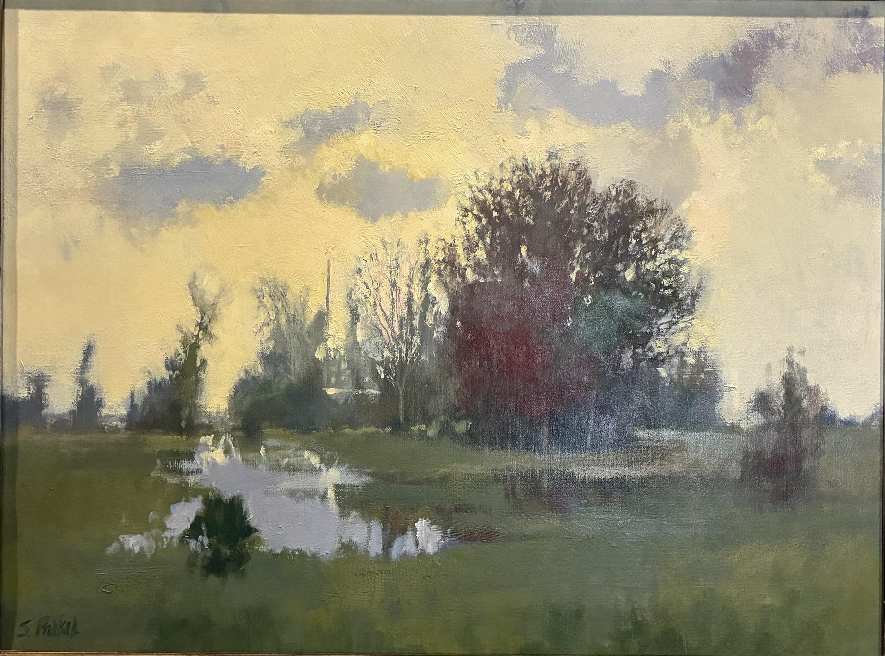 Backlit Morning  - Image 1 of 2