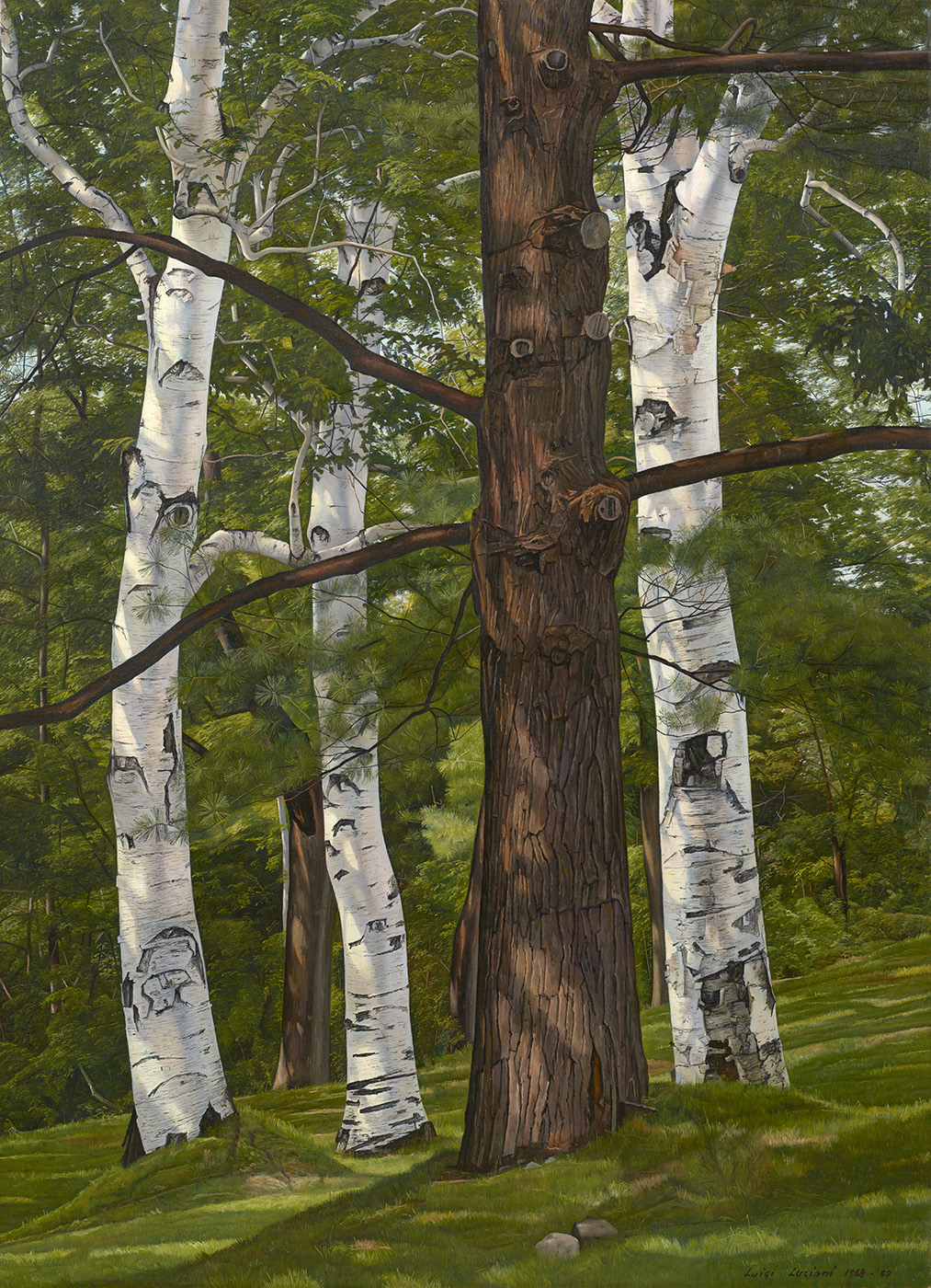 Tree Portraits (No. 2)