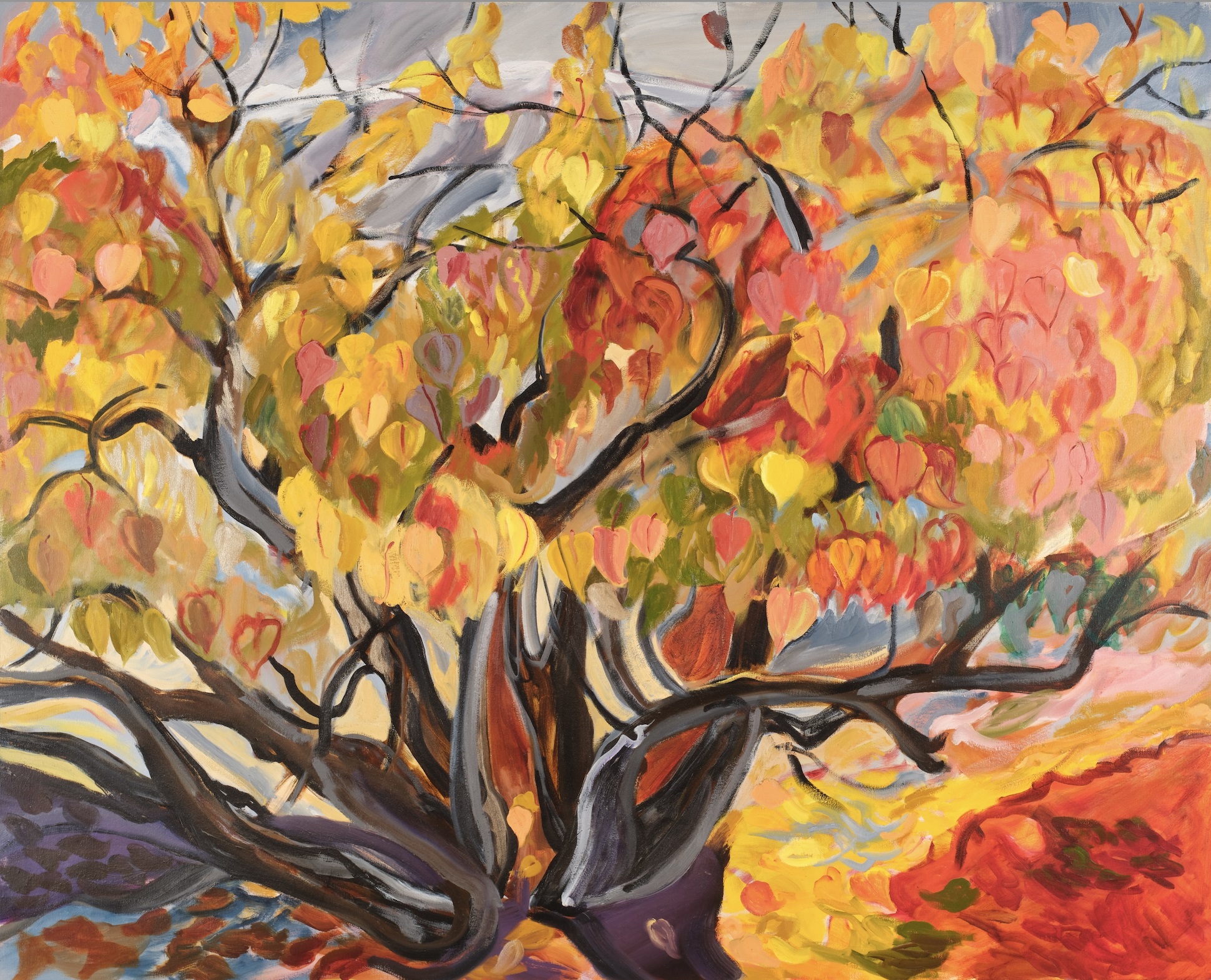 Autumn Apricot