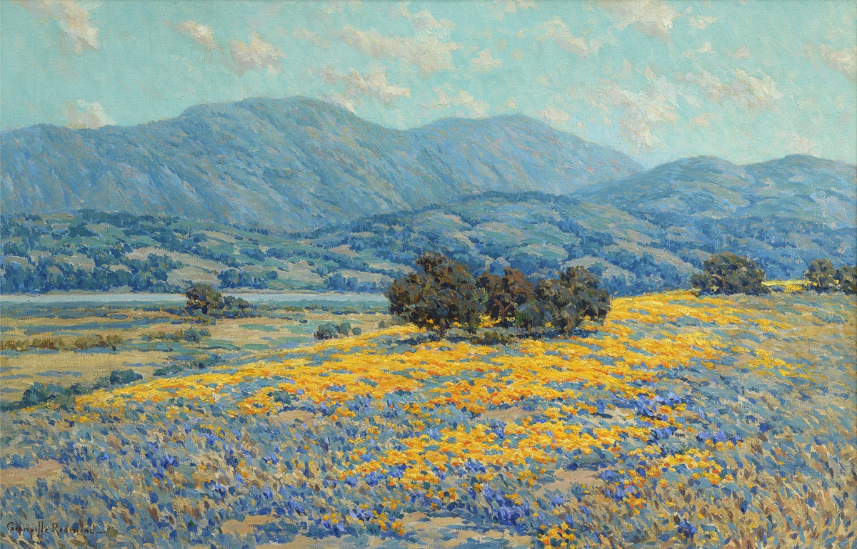 "California Field of Poppies and Lupine" - View of Lake Cachuma