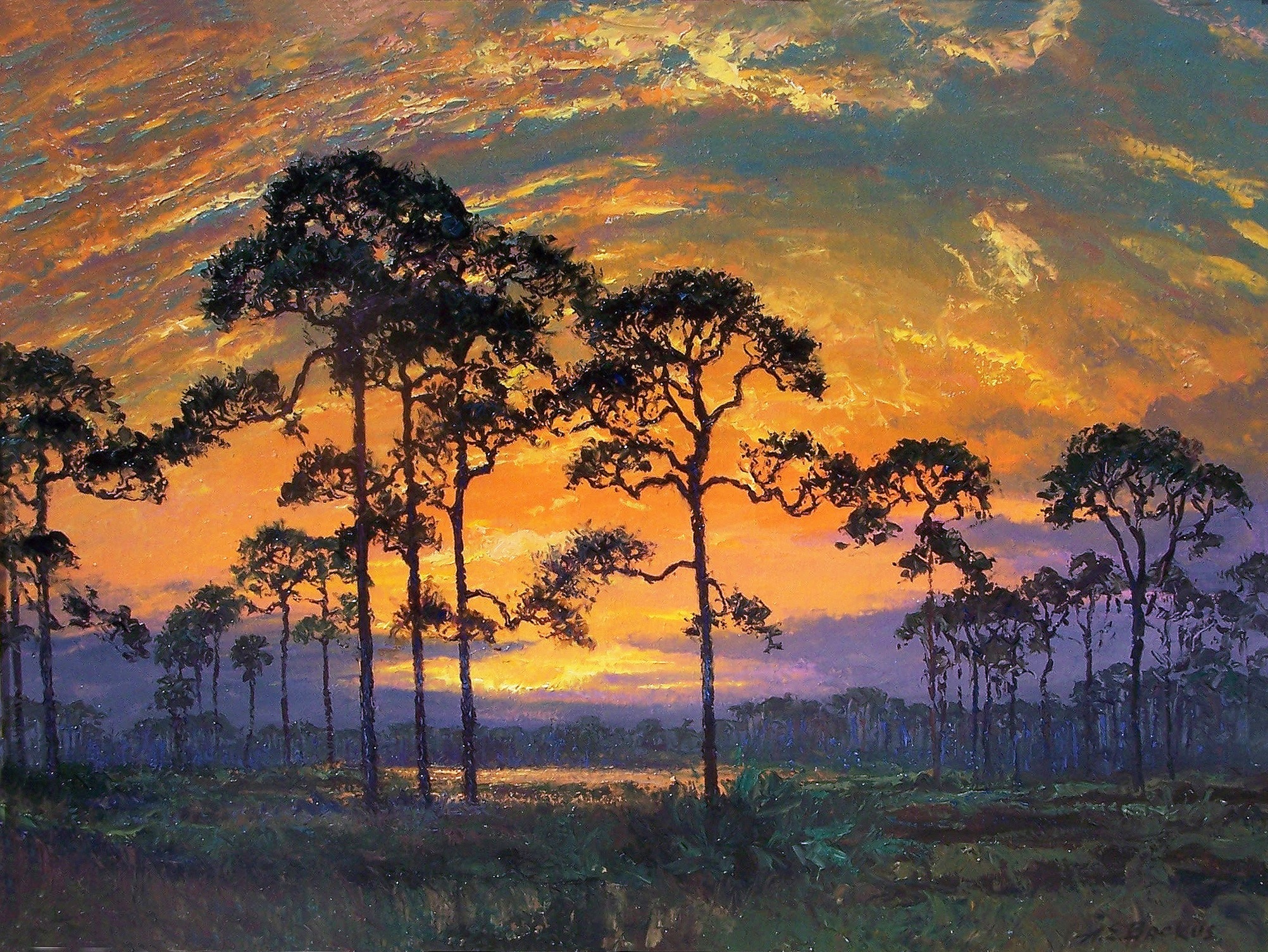 Fire Sky, Florida - Image 1 of 2
