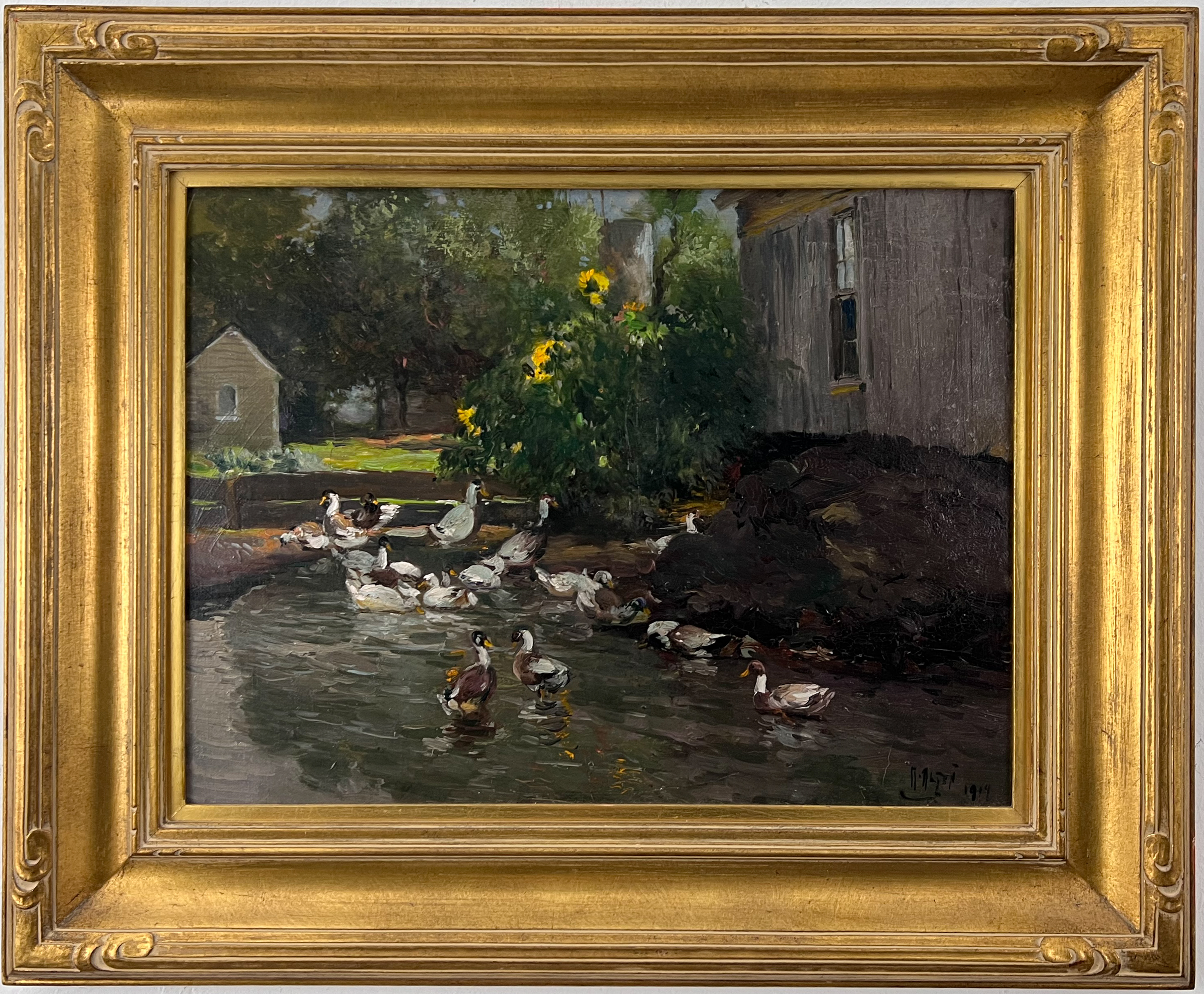 Ducks, Sunflowers & Buildings