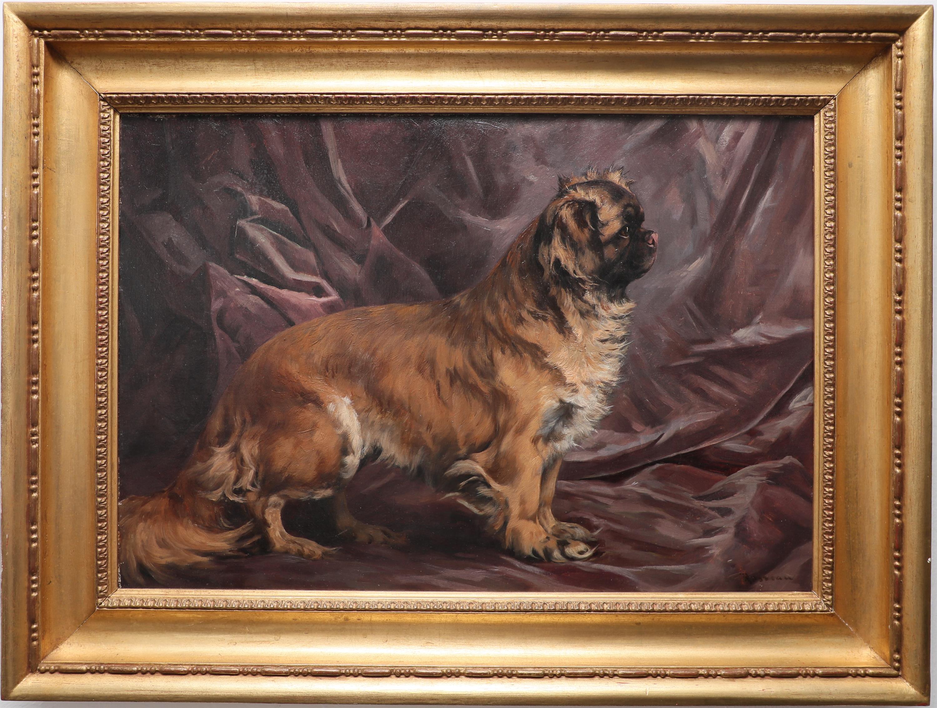 Pekingese - Image 1 of 2