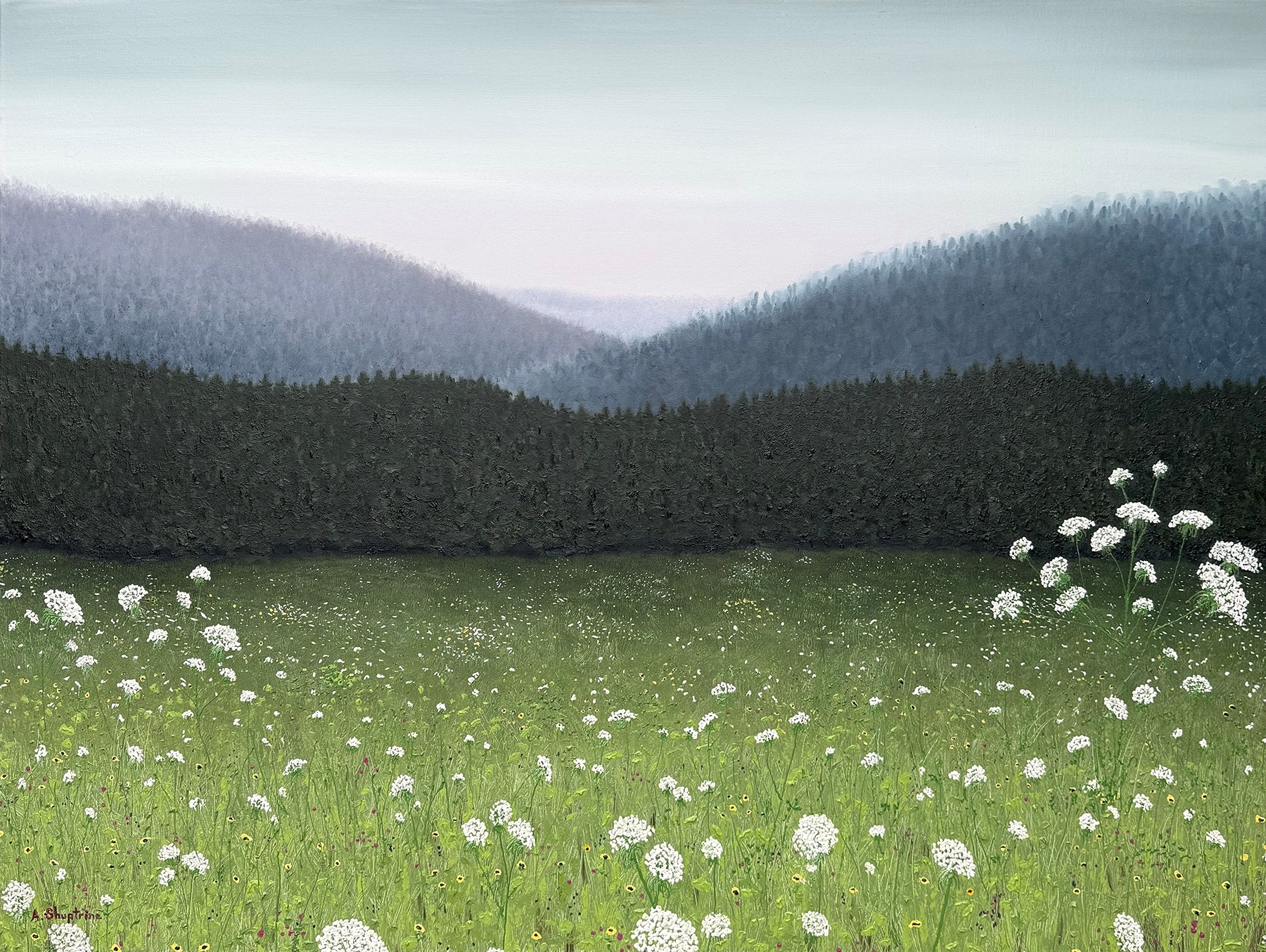 Silence of Summer