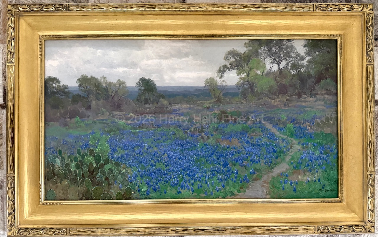 Bluebonnets on a Gray Day
