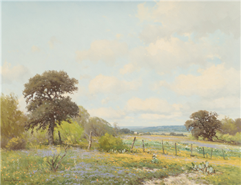 Hill Country Wildflowers - Image 1 of 2