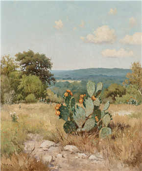 Blooming Prickly Pear - Image 1 of 2