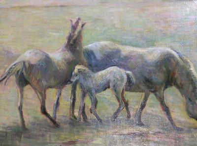 Florence Graziano - artist photo for art wanted listing (Denver, CO)