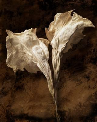 Artwork by Linda Ingraham