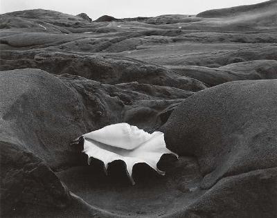 Edward Weston - artist photo