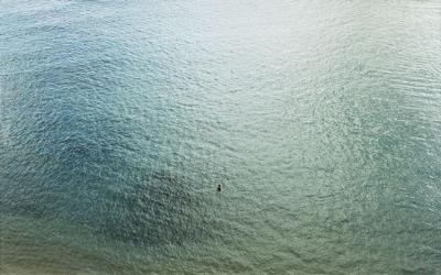 Richard Misrach - artist photo